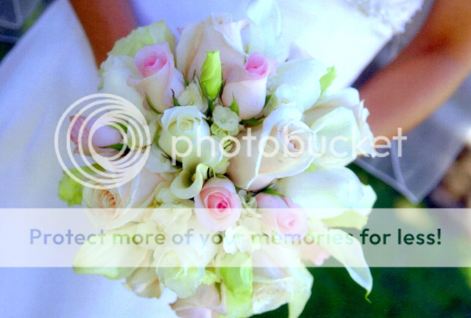 Green Valley Floral Wedding Flowers For Every Month